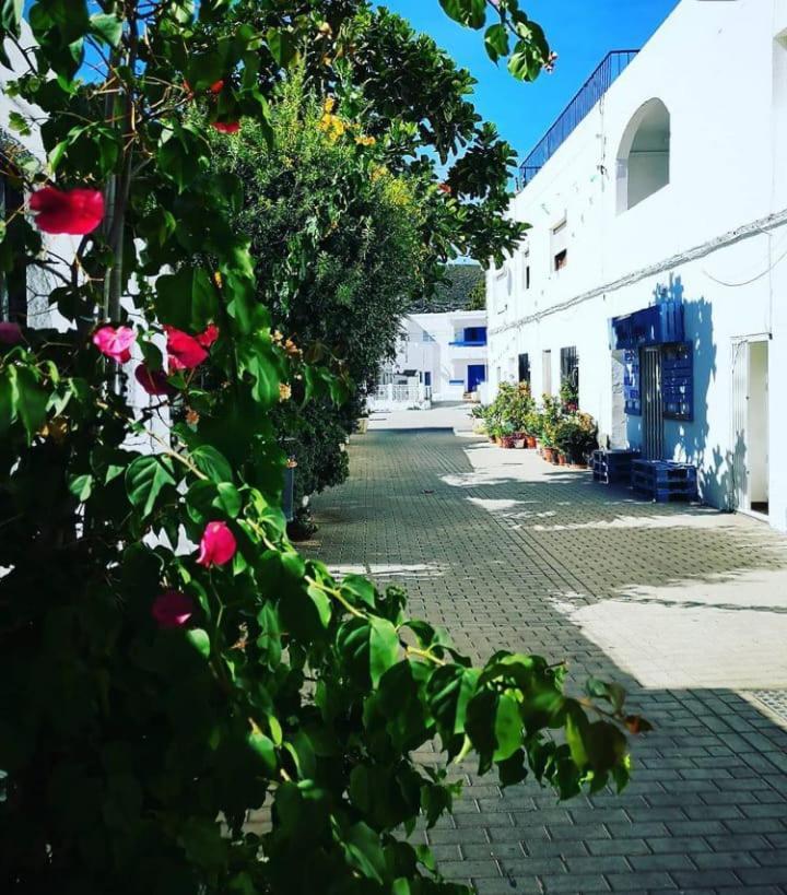 Casa Del Pez Vivienda A Pie De Calle En Agua Amarga A 250 Metros De La Playa Buitenkant foto